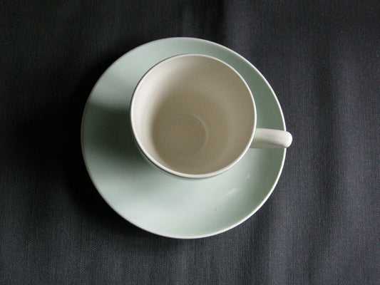 Boch / Villeroy & Boch pastel groen 005. kop & schotel