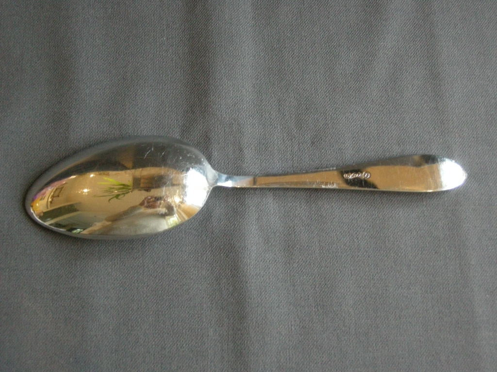 Sola GZ model 430 puntfilet groentelepel