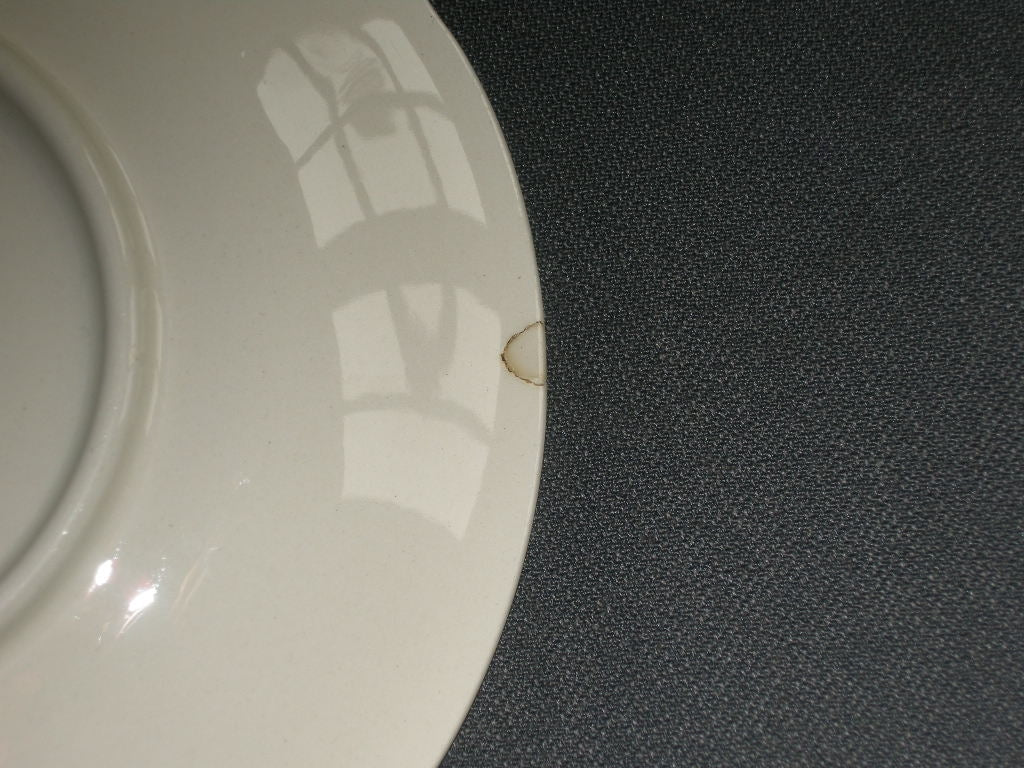 Villeroy & Boch Wild Rose kop & schotels nr. 3 met beschadiging