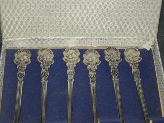 Bredemeijer verzilverd diverse 001. set van 6 lange lepels in doosje