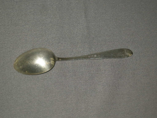 Keltum verzilverd P3 Chantal lepel 17,5 cm.