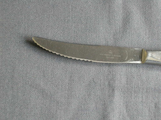 van Kempen & Begeer edelstaal S17 Jeunesse mes 22 cm.