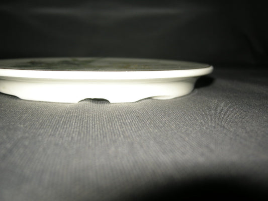 Villeroy & Boch Botanica pannenonderzetter met beschadiging