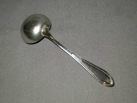 Wellner verzilverd sauslepel