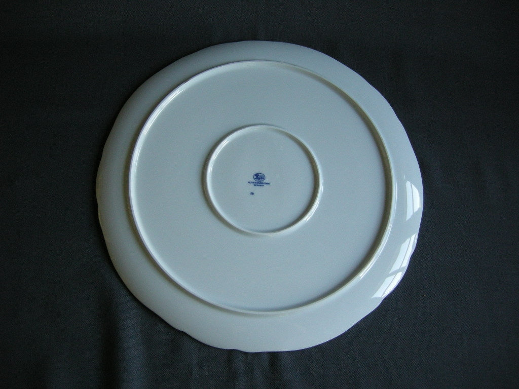 Hütschenreuther Blau Zwiebelmuster vlaaischotel