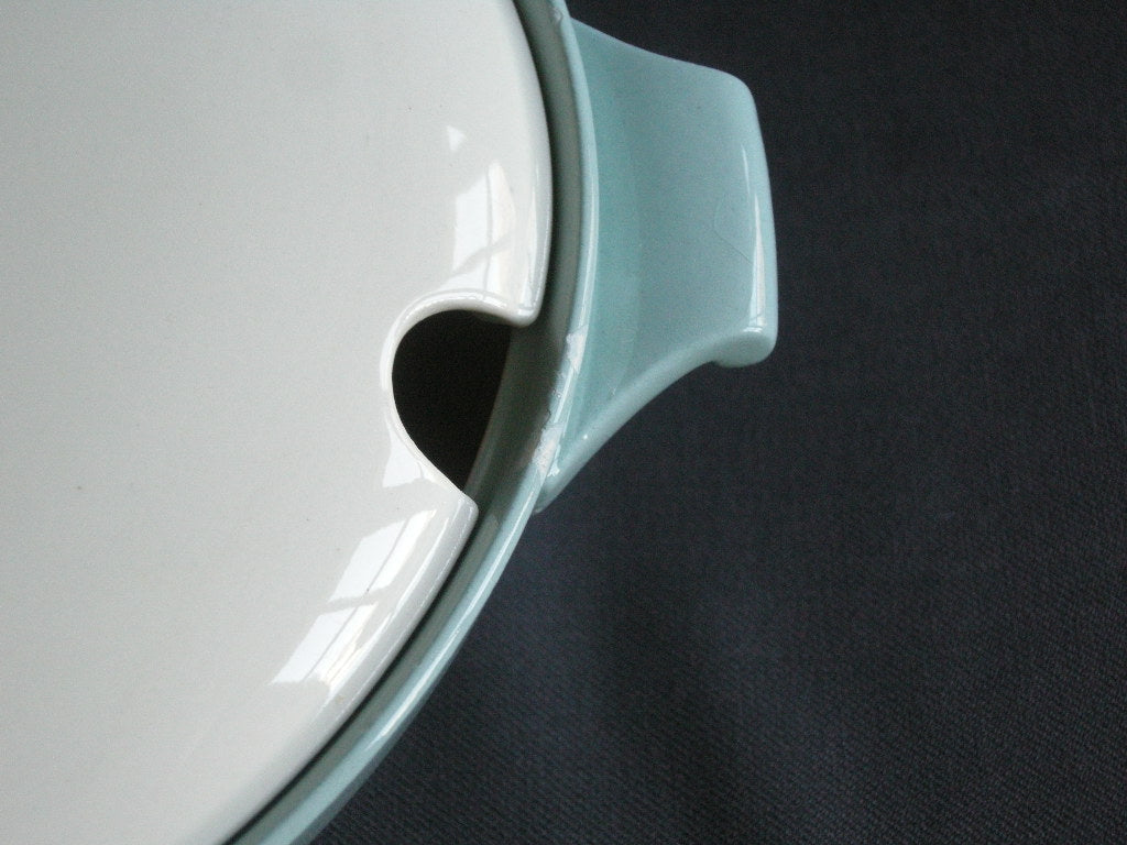 Petrus Regout pastel greenbeach 001. dekschaal