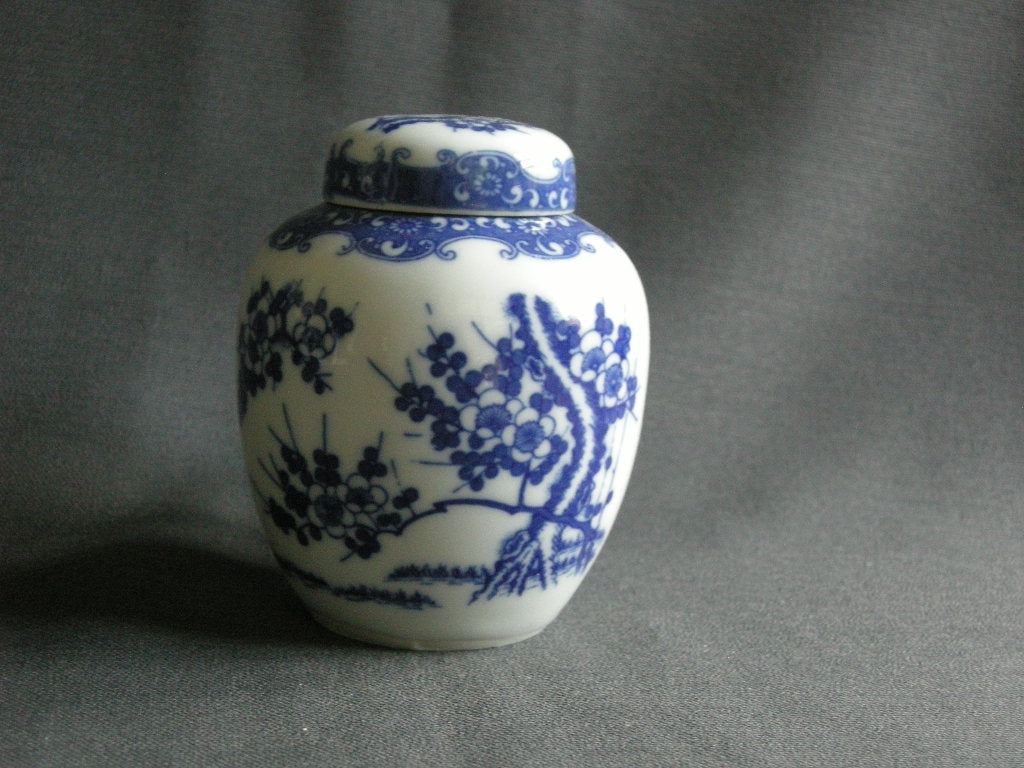 Diverse gemberpotten 002. wit - blauw