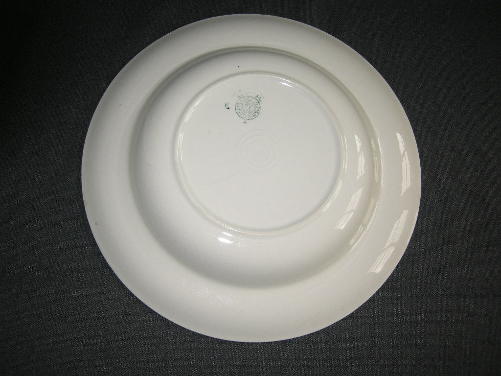 Boch / Villeroy & Boch pastel groen 003. soepbord