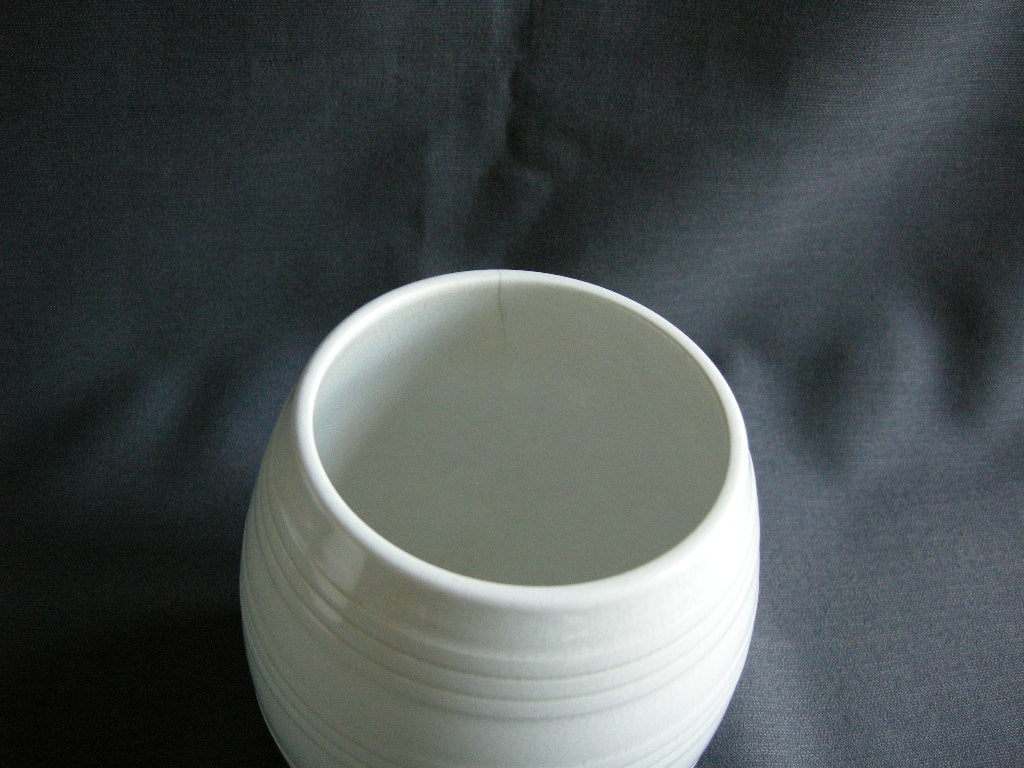 Villeroy & Boch diverse 030c. voorraadpot hoogte 12 cm.
