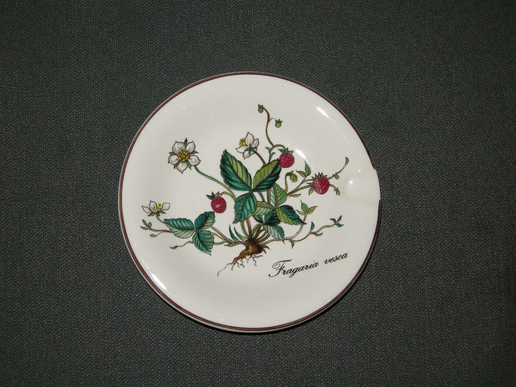 Villeroy & Boch Botanica asbak