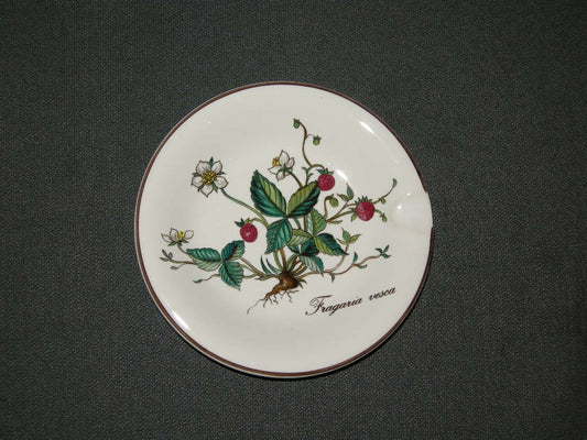 Villeroy & Boch Botanica asbak