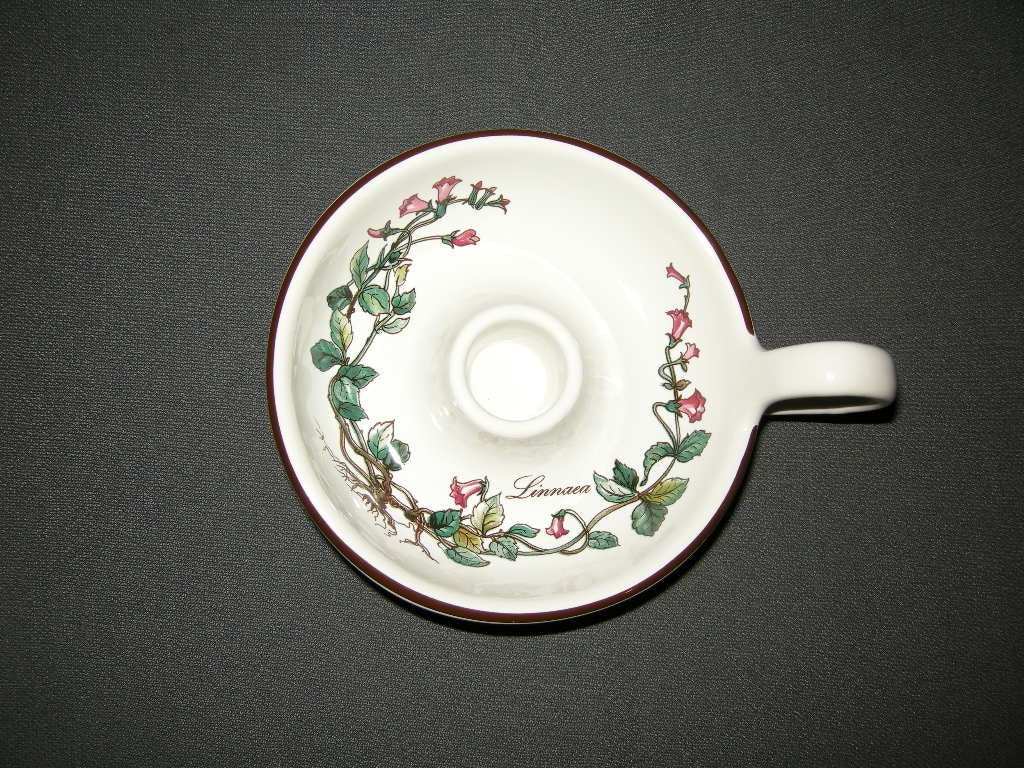 Villeroy & Boch Botanica blaker