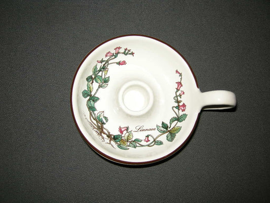 Villeroy & Boch Botanica blaker