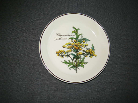Villeroy & Boch Botanica cakebordje O14 cm. Chrysanthemum parthenium