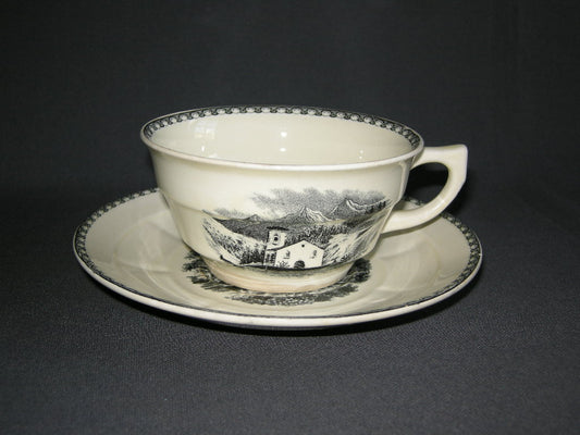 Societe Ceramique Landschap cappuccinokop & schotel met flinke verkleuring