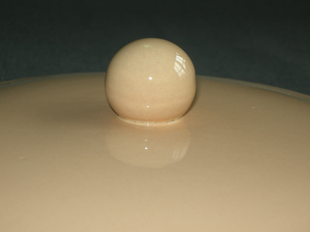 Huizen pastel zalmrose dekschaal met beschadiging