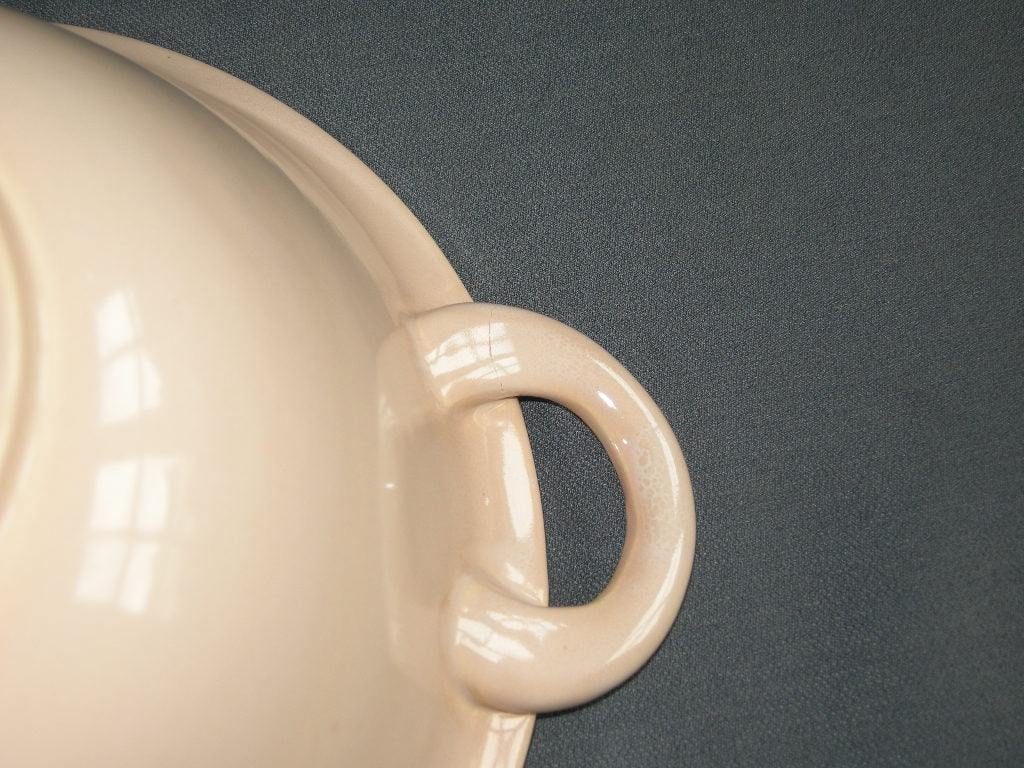 Huizen pastel zalmrose dekschaal met beschadiging