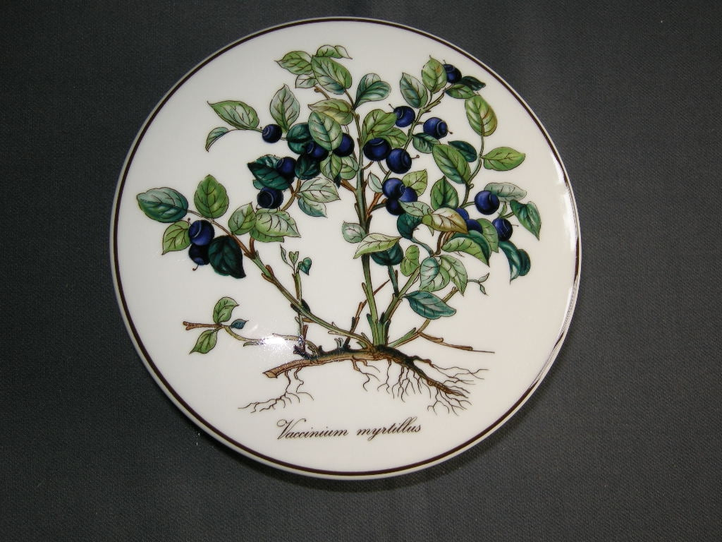 Villeroy & Boch Botanica dekselschaaltje O14,5 cm. Vaccinium myrtillus