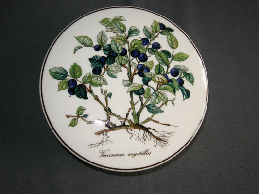 Villeroy & Boch Botanica dekselschaaltje O14,5 cm. Vaccinium myrtillus