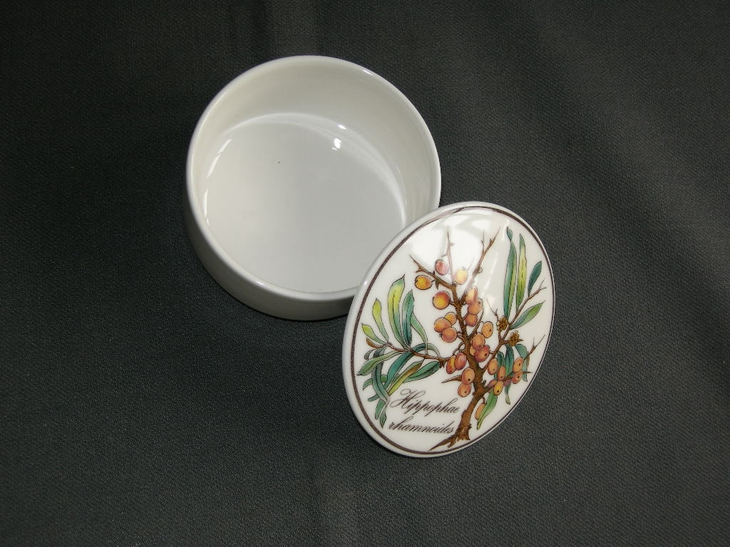 Villeroy & Boch Botanica dekselschaaltje O7,3 cm. Hippophae rhamnoidus
