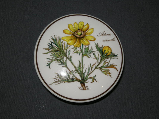 Villeroy & Boch Botanica dekselschaaltje O9,5 cm. Adonis Vernalis