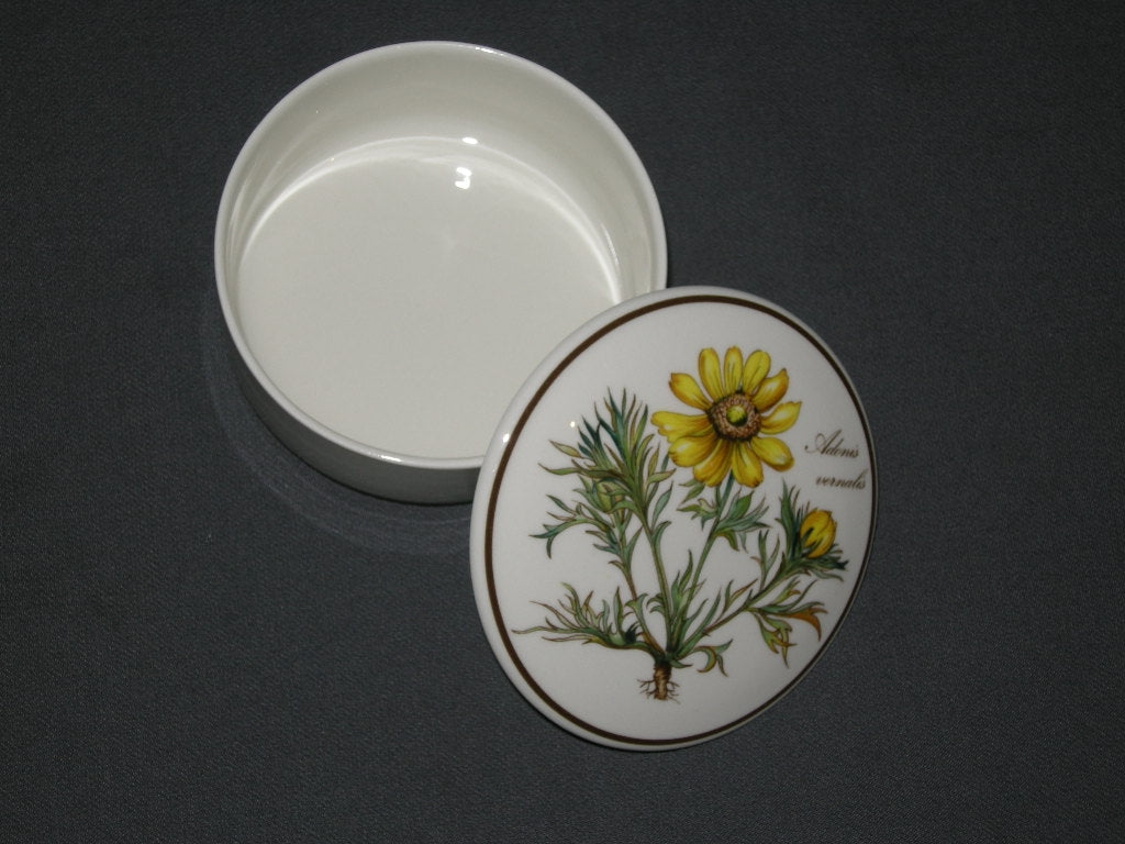 Villeroy & Boch Botanica dekselschaaltje O9,5 cm. Adonis Vernalis