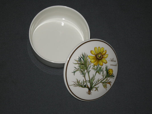 Villeroy & Boch Botanica dekselschaaltje O9,5 cm. Adonis Vernalis