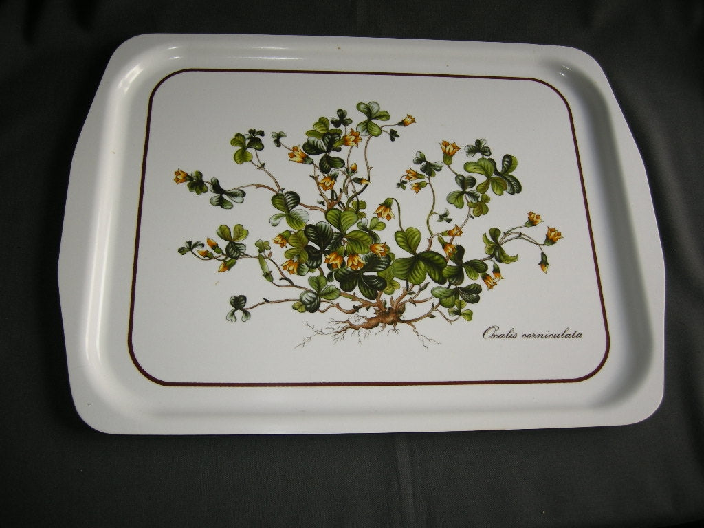 Villeroy & Boch Botanica dienblad