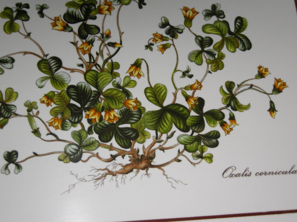 Villeroy & Boch Botanica dienblad