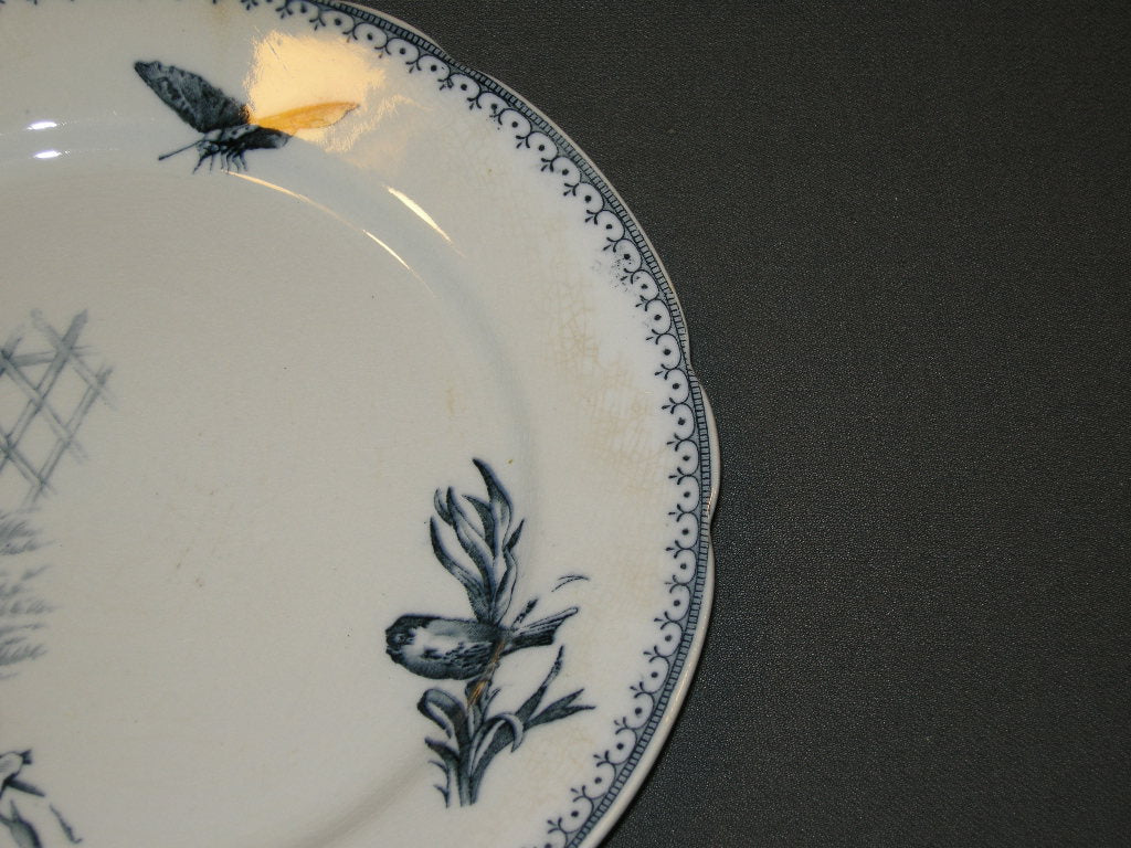 Petrus Regout Malaga blauw met geschulpte rand bord a O23,5 cm. met lichte verkleurde plekjes
