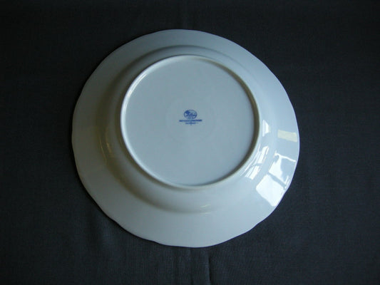 Hütschenreuther Blau Zwiebelmuster dinerbord