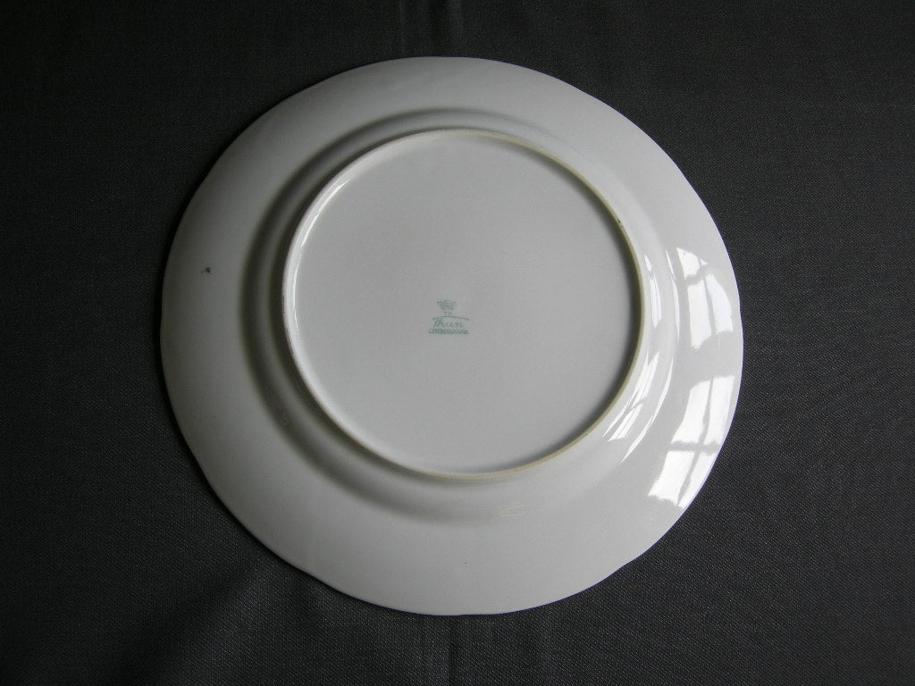 Thun wit met goud dinerbord