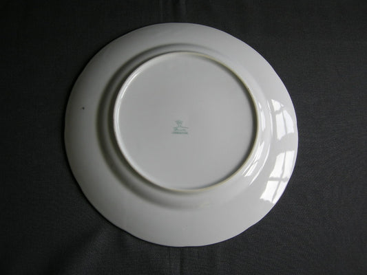 Thun wit met goud dinerbord