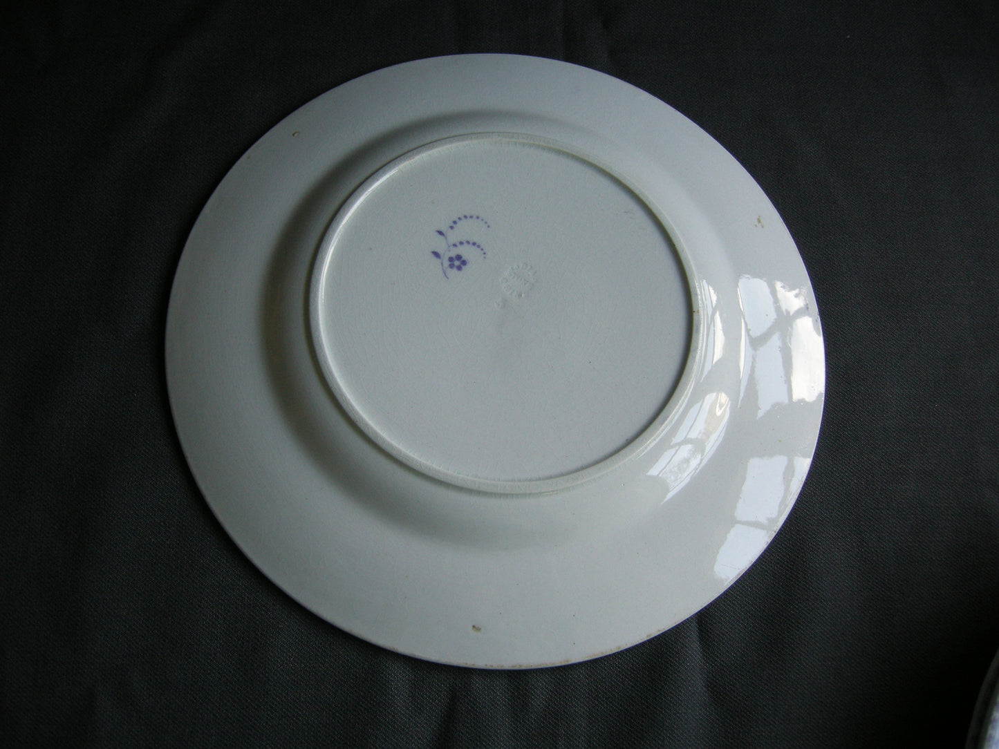 C.M. & S (Charles Meigh & Son) Campanula dinerborden