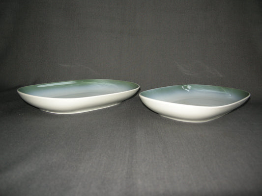 Arzberg wit met blauw / groen / bruine rand vleesschaaltjes