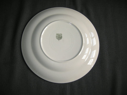 Boch / Villeroy & Boch pastel zalmrose 001. dinerbord