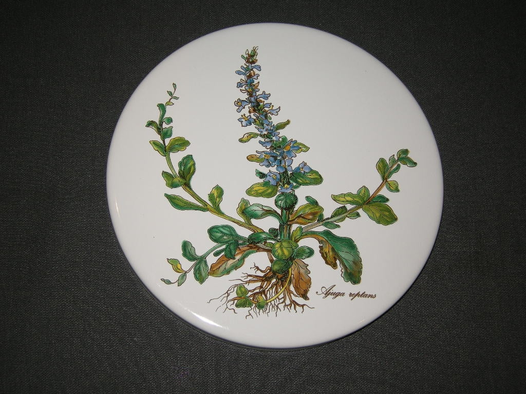 Villeroy & Boch Botanica fornuiskap emaille