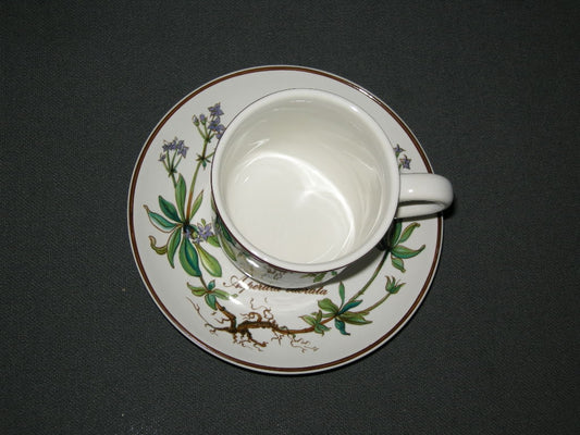 Villeroy & Boch Botanica espressokop & schotel