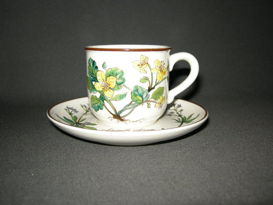 Villeroy & Boch Botanica espressokop & schotel