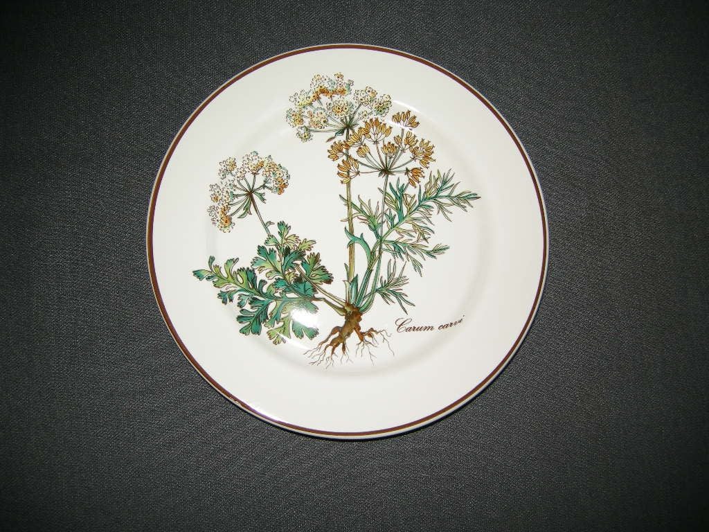 Villeroy & Boch Botanica gebaksbordje O17 cm.