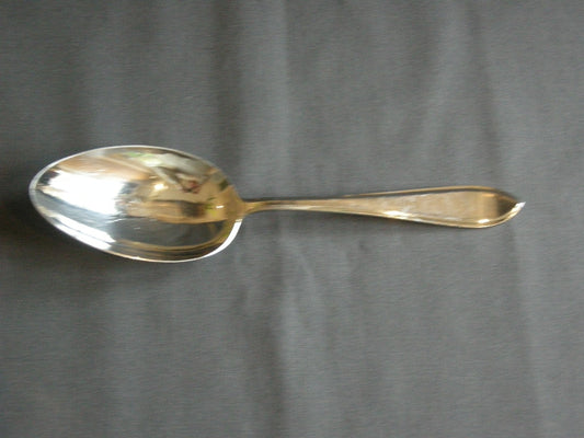 Sola GZ model 430 puntfilet groentelepel
