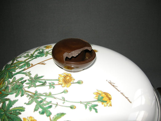 Villeroy & Boch Botanica pan; hapjespan / braadpan O25,5 cm. knop deksel beschadigd