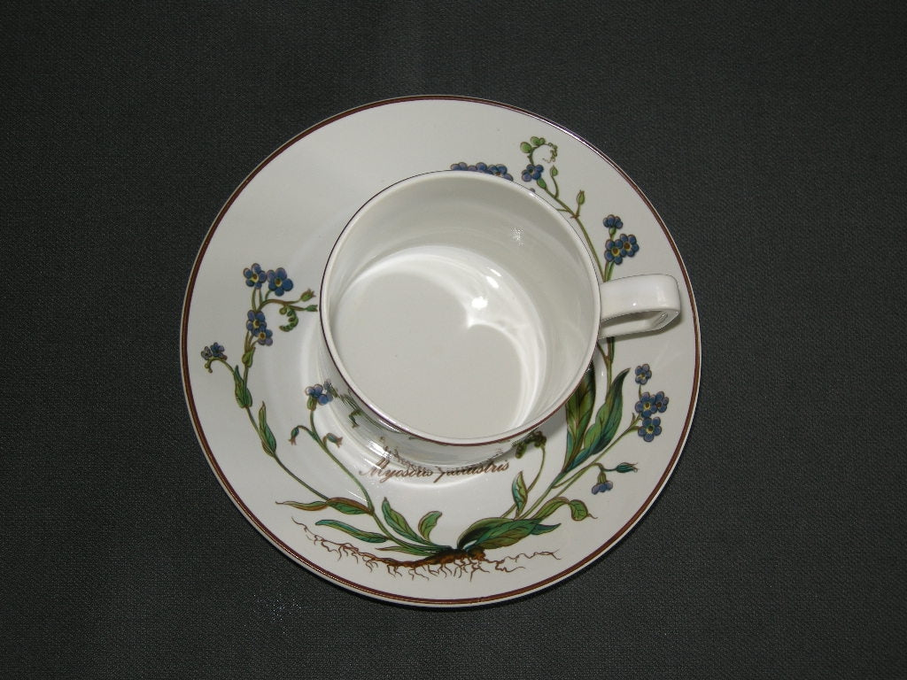 Villeroy & Boch Botanica koffiekop & schotel D.E.