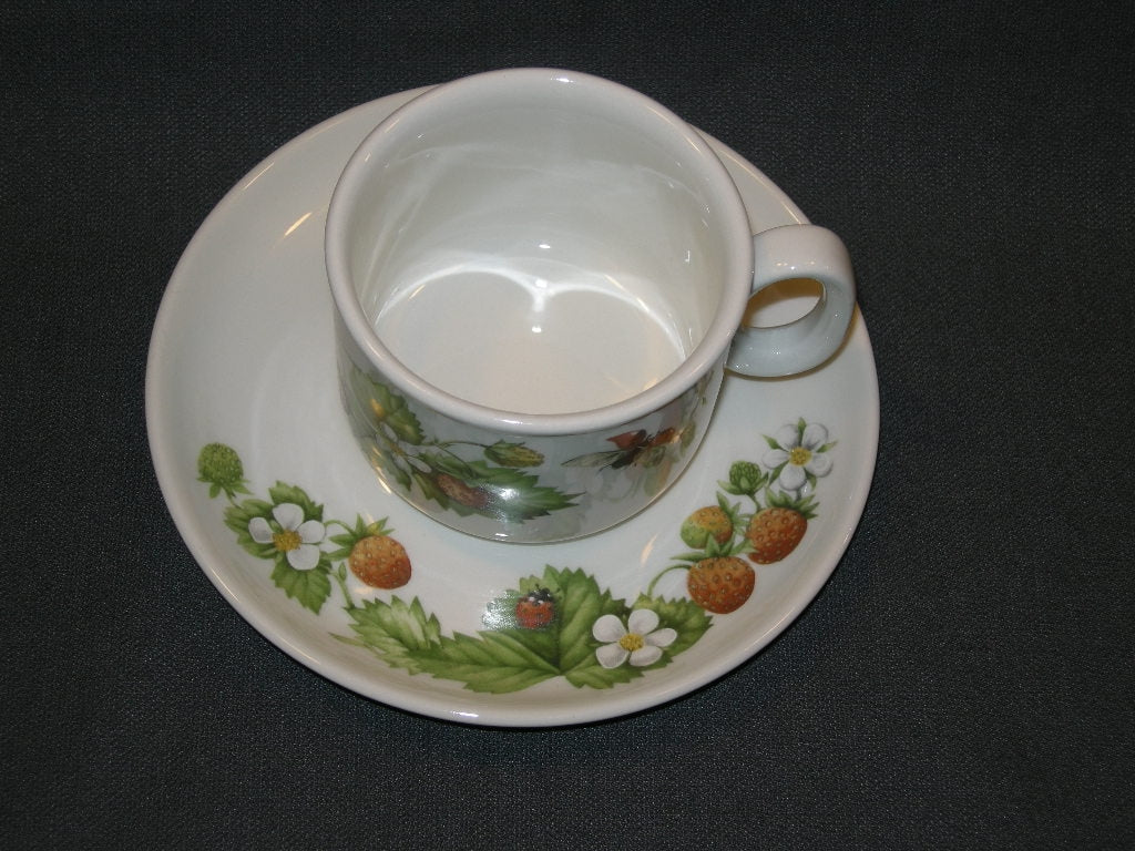 J&G Meakin Marjolein Bastin bosvruchten kop & schotel aardbeien