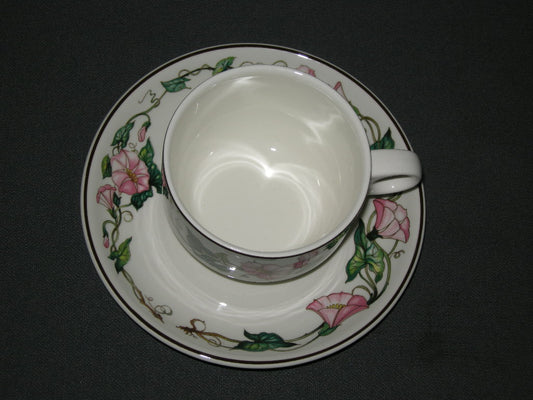 Villeroy & Boch Palermo kop & schotel