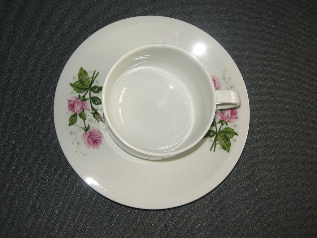 Villeroy & Boch Milano kop & schotel