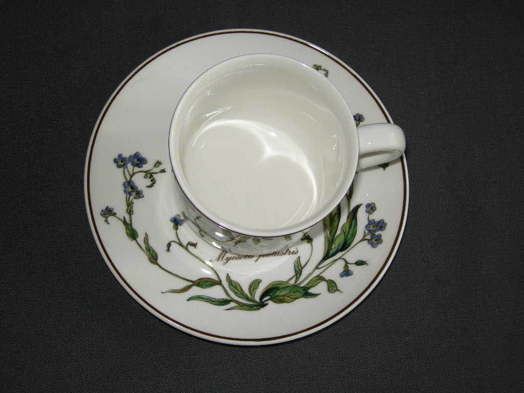 Villeroy & Boch Botanica koffiekop & schotel
