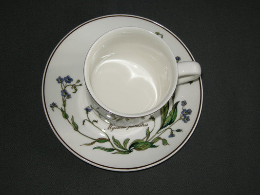 Villeroy & Boch Botanica koffiekop & schotel