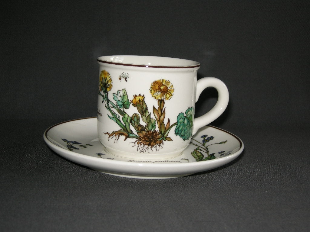 Villeroy & Boch Botanica koffiekop & schotel