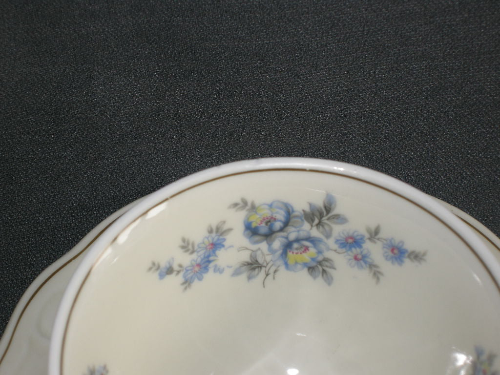 Hutschenreuther decor 1581 theekop & schotels